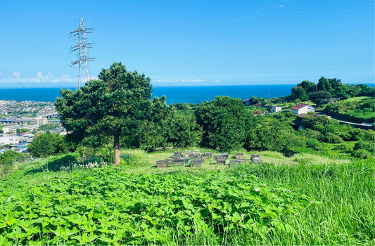 2025年 - 夏期休業のお知らせ