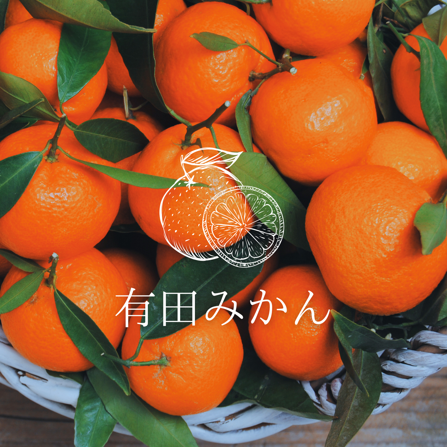 有田みかんフレーバー