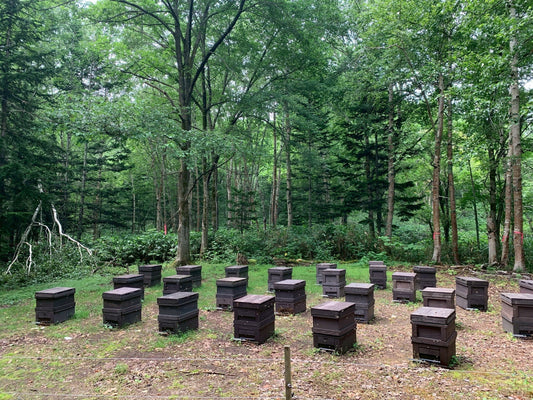 2025年 - 年末年始休業のお知らせ