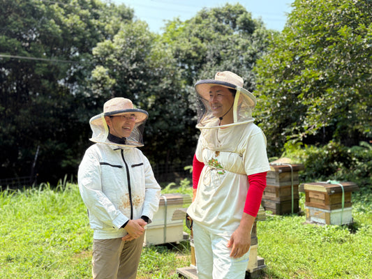 宮島の原生林で育つ、豊かな蜜｜はつはな果蜂園 訪問記